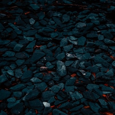 Coal